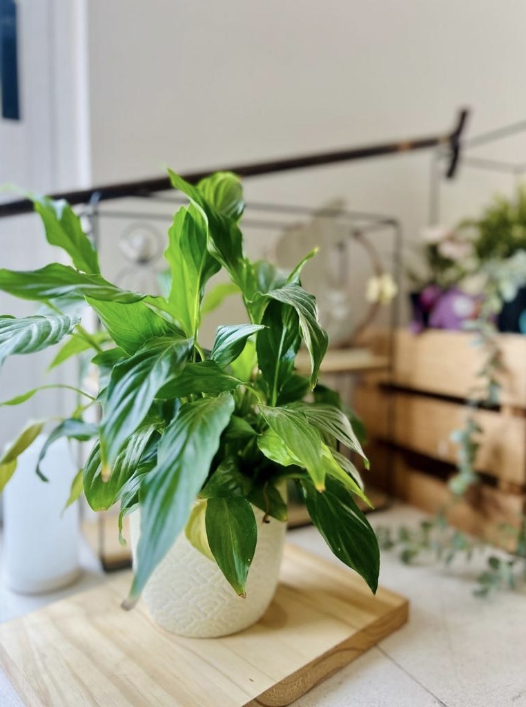 Consulta de terapia ocupacional para neurodivergentes en Ciudad Real